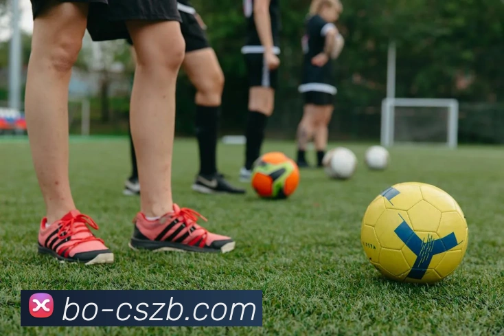 彩神争霸平台生态图